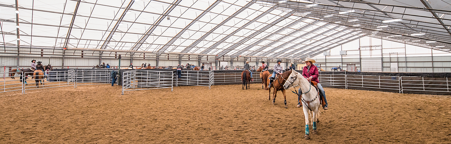 Best Fabric Buildings for Equestrian Riding Areas and Facilities